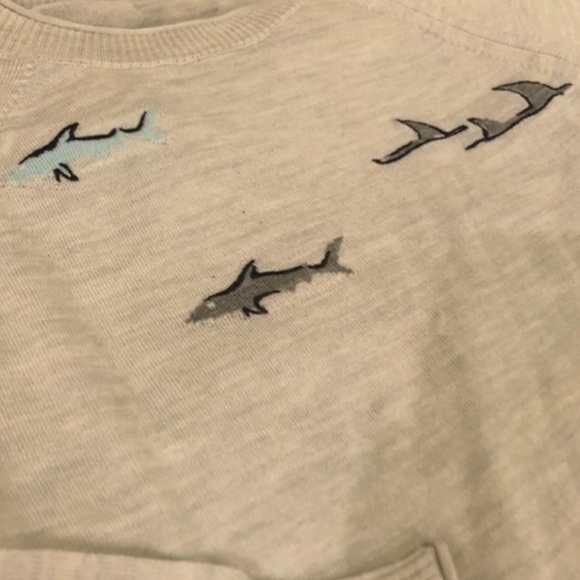 📌 J.Crew Merino Wool Crew Neck Shark Sweater - Picture 4 of 4